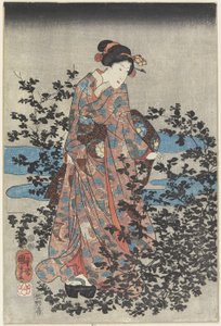 美とブッシュクローバーの夜のシーン、1847-1852 作： Utagawa Kuniyoshi